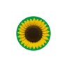 We are a Sunflower Hidden Disabilities Hub